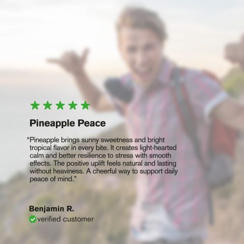150mg Kanna Extract 5% Mesembrine Tablets - Pineapple - Thumbnail 9